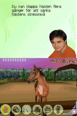 Image n° 3 - screenshots : My Horse & Me
